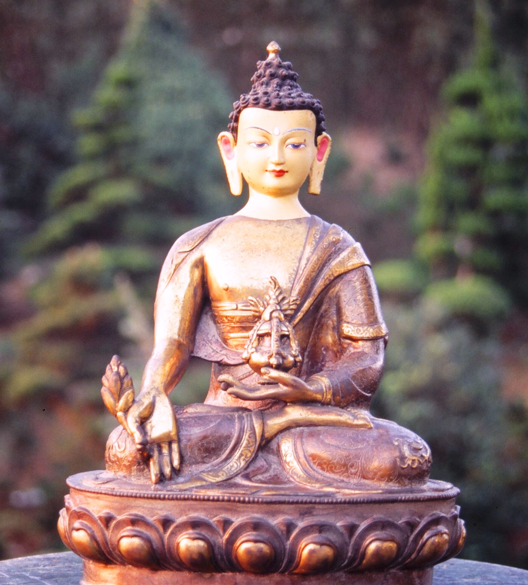 Image of Healing Buddha
